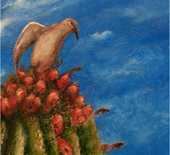 Turtledove perched on saguaro fruit